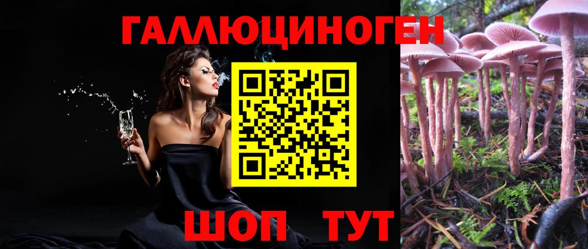 Псилоцибиновые грибы MAGIC MUSHROOMS Москва